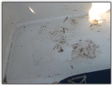 Dinghy Cleaning - A dirty cockpit